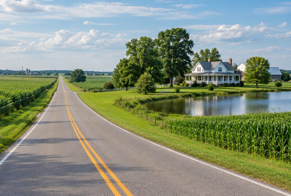 A country highway through southern Illinois farmland with a farm pond and white farmhouse